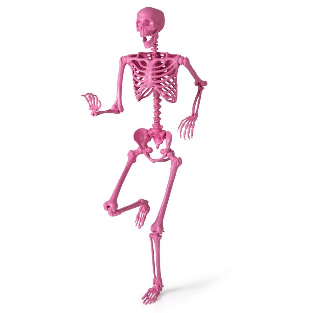 esqueleto_decorativo_halloween_37421065_2_.jpg