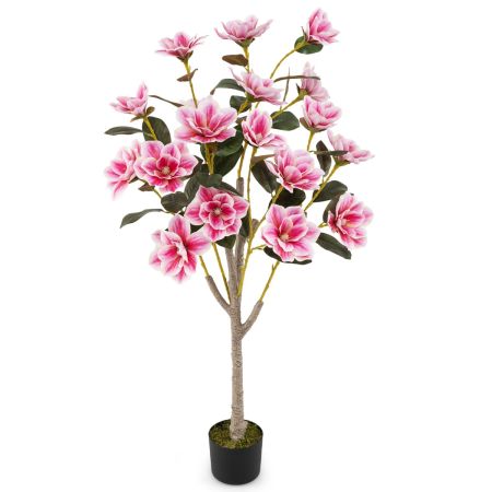 árbol falso de magnolia
