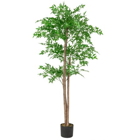 planta de bambú falsa