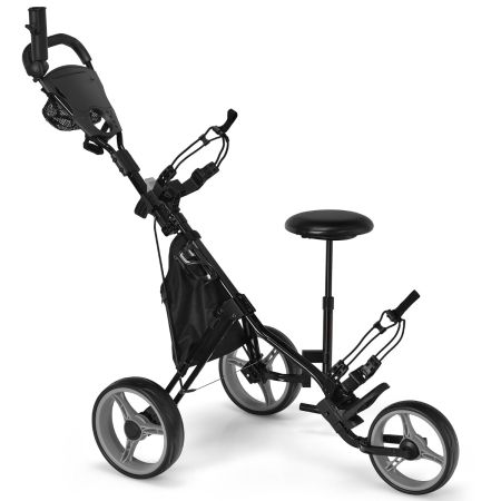 Carro de Golf 