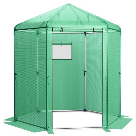 Invernadero para plantas