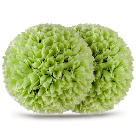 Juego de 2 Bolas de Topiario Verde