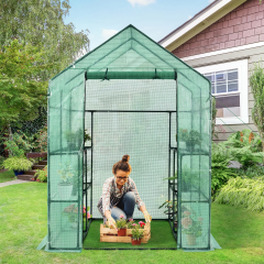Mini Invernadero Portátil para Plantas con Puerta Enrollable Cobertura en PVC y 2 Ventanas Verde 142 x 142 x 195 cm